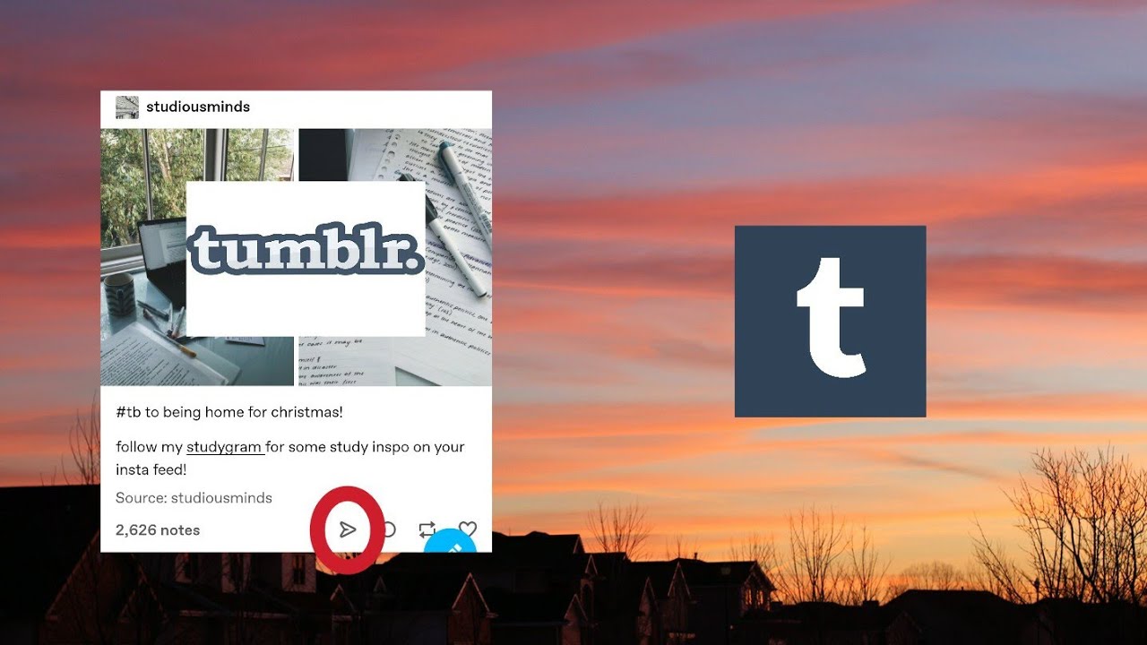 How do you view time & date of any post on Tumblr?