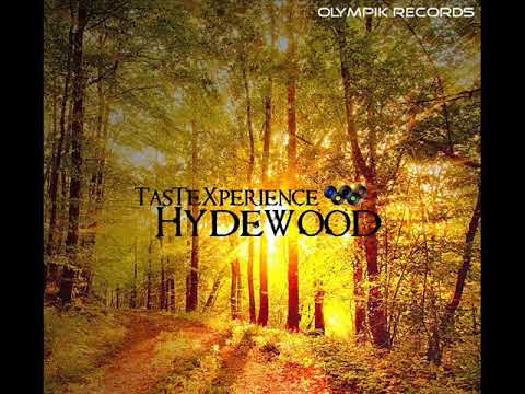 TasteXperience - Hydewood (Beetseekers Remix)