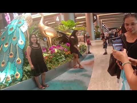 Aeroporto Changi T 2 Singapura