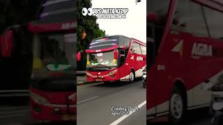 Download lagu Telolet 12 Not Mata Kedip, View Bus Agra Mas AM44 #shortvidio #basuribussid #fvpシ #bussid #basuri mp3 Download lagu Telolet 12 Not Mata Kedip, View Bus Agra Mas AM44 #shortvidio #basuribussid #fvpシ #bussid #basuri mp3