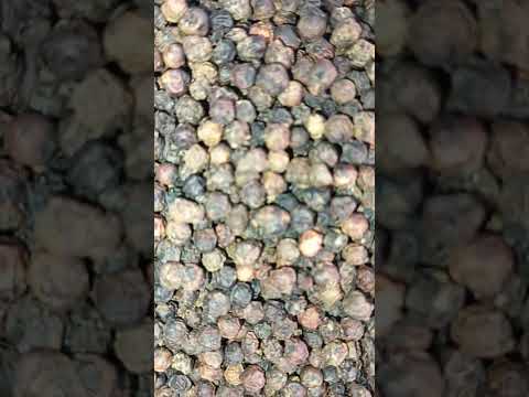 Black pepper kali mirch