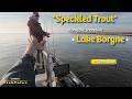 Speckled Trout Along The Shoreline Lake Borgne