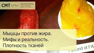 Смотреть онлайн Отличается ли по весу жир и мышцы