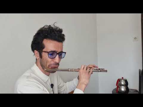 Merdo Merdo Yan Flütle