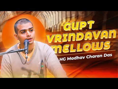 HG Madhav Charan Das | Gupt Vrindavan Mellows