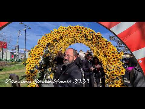 Elbasan dita e veres