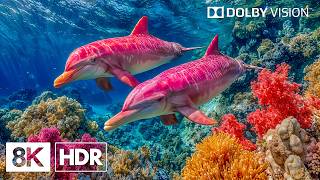 Unseen Blue Ocean Creatures in 8K HDR | Dolby Vision™