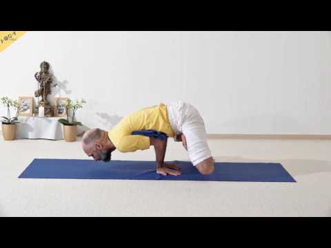 Lotus-Pfau - Mayurasana - 84 Hauptasanas - Teil 66