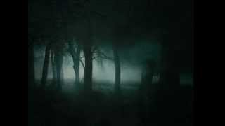 Rush  Witch Hunt Lyrics