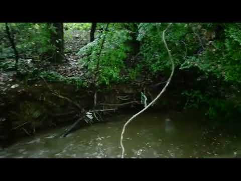 Mridu Pallavikal Duet Video