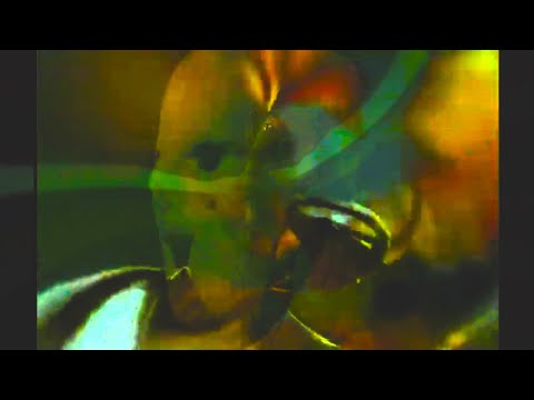 3D. FLY FAMILY NEGO - SJEDEM SE  -  JEN BÍLÉ LABUTĚ ZPÍVAJÍ / BANDZONE CZ