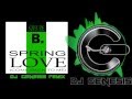 Stevie B - Spring Love (dj genesis remix)