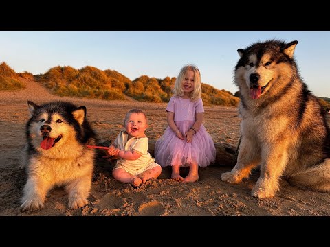 Our Holiday Routine With 3 Dogs And 2 Children!...