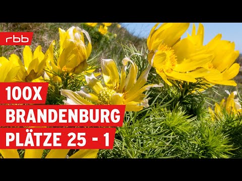 Die schönsten Orte in Brandenburg (Platz 25 - 1) | 100xBrandenburg (4/4)