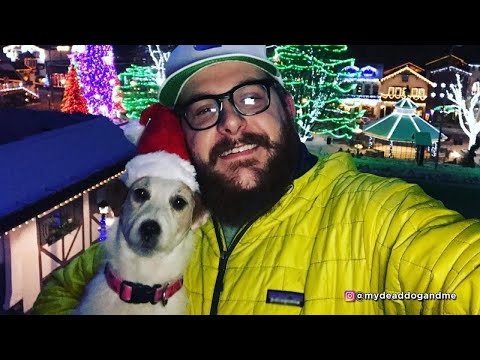 Would You Stuff a Deceased Pet?