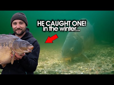 We caught winter carp in front of our UNDERWATER camera! preview