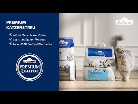 Dehner Katzenratgeber: Das richtige Katzenstreu
