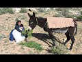 Unbelievable Effort In The Mountains Helping A Grandmother Survive