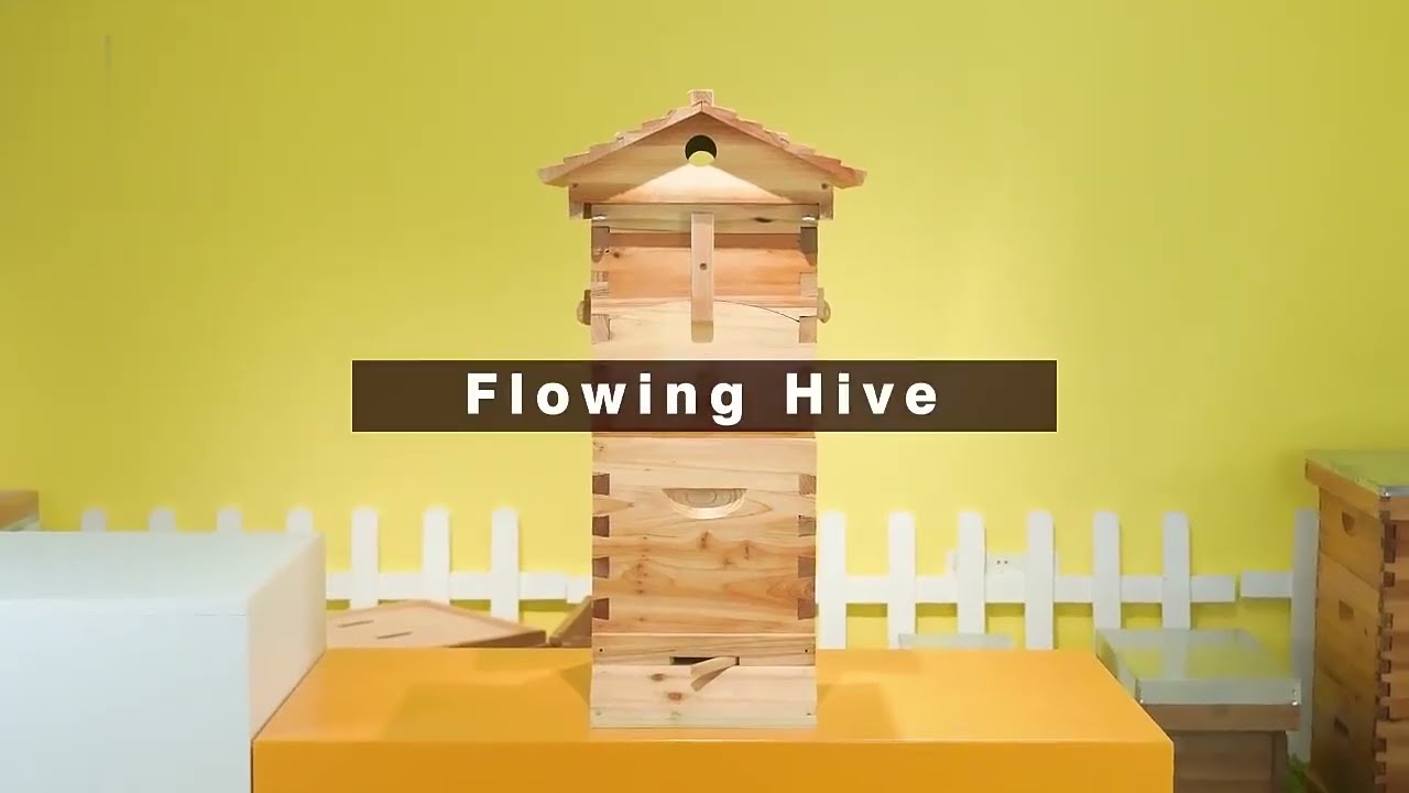 4Pcs Flowing Honey Bee Hive Box Starter Kit, Complete kit with hive Frames, 6 Brood Frames