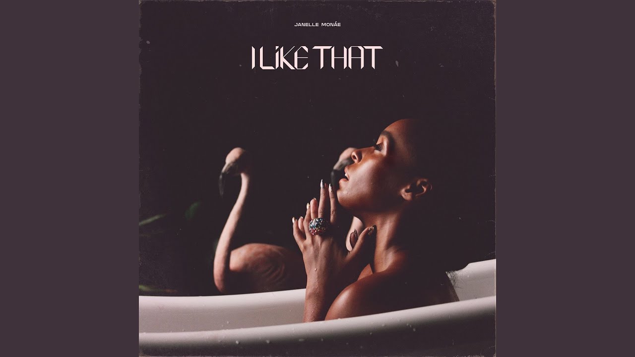 Janelle Monáe - I Like That