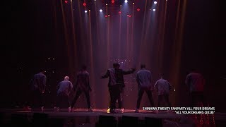 SHINHWA TWENTY FANPARTY : All Your Dreams (2018) STAGE CLIP