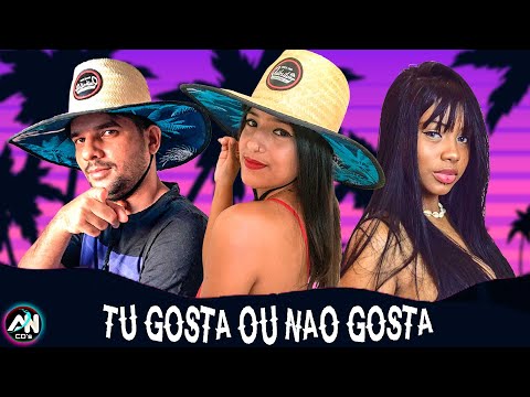 JULLIE DO PISEIRO E DJ DM, MC INDIA - TU GOSTA OU NÃO GOSTA - PISEIRO MIX (AN CDs)