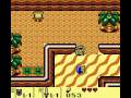 the legend of zelda link's awakening gameboy solution