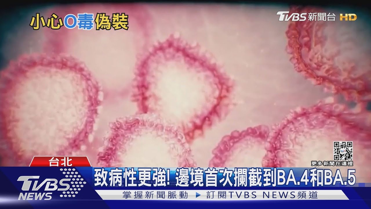 BA.4、BA.5襲台 免疫逃脫特性更強 台灣真能大鬆綁邊境?