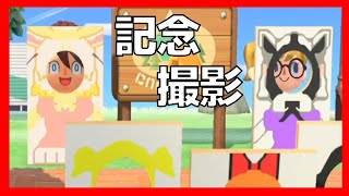 【あつ森島訪問】パワーパフガールズ大好き民の島で何かが起こる！？