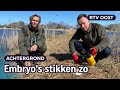 Waarom Staatsbosbeheer ganzeneieren insmeert met olie | RTV Oost