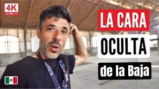 290. Ningún VIAJERO te enseña esto de BAJA CALIFORNIA SUR 🇲🇽 / conocemos a @jousinpalafox