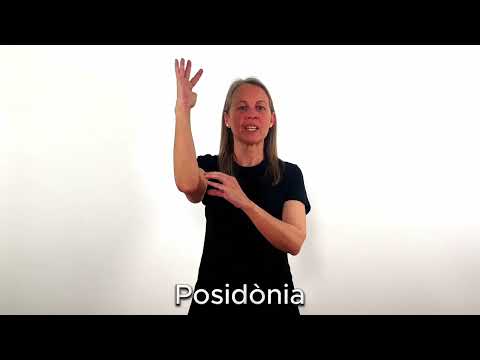 Posidònia - LSC