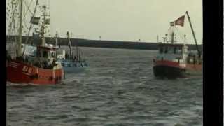 preview picture of video 'Harlingen visserijdagen 2012 vlootschouw'