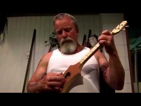 Robert Plant Bluebirds Over The Mountain Merlin Dulcimer Cover