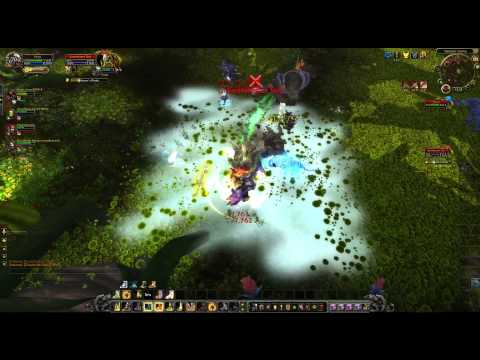 Ancient Protectors Kill The Everbloom Warlords of Draenor