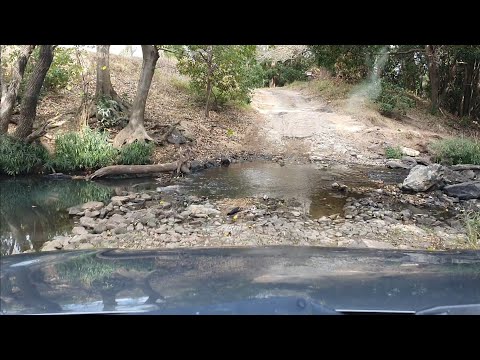 Secret of bonsai material hunting
