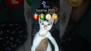 surprise 2025 filter. #surprise #trolledit #edit #meme #trending #trollface