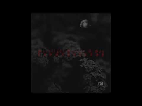 Moonlight Resort & Spa - Black Currant Seed Oil