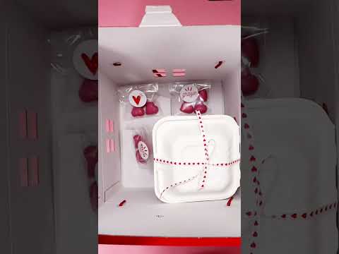 Video Scatola porta panettone modello casetta con manici