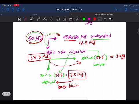 Part (4) MB | lecture (1) “conservation of mass and energy”