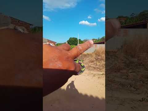 SERRA DE URUBURETAMA CEARÁ