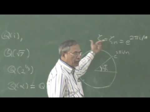 Expert Talk: What is a Number Field ?