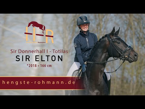 Sir Elton Hengst v. Sir Donnerhall I - Totilas