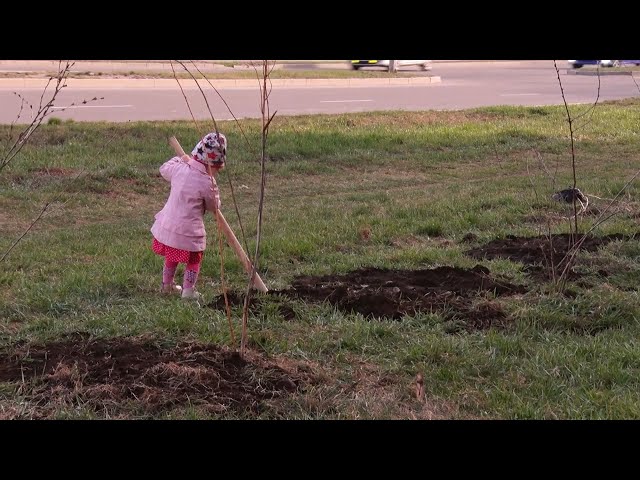 В Ангарске активно проходят работы по благоустройству