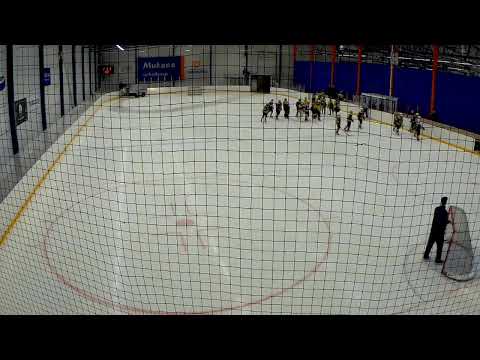 Ilves Rangers - Lukko D1-06 AAA Aluesarja