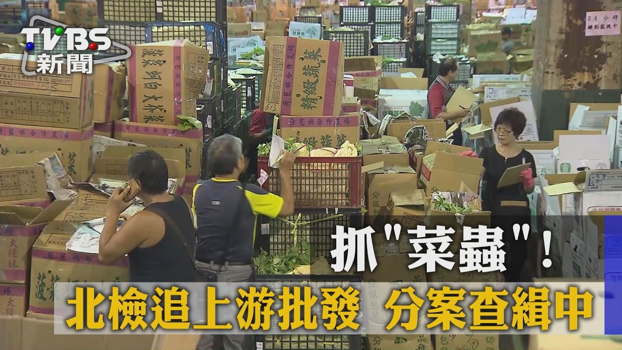 抓「菜蟲」！北檢追上游批發　分案查緝中
