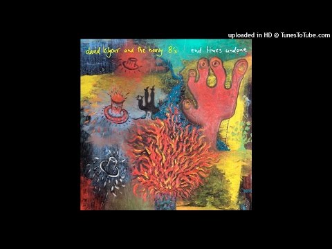 David Kilgour and The Heavy Eights - Down the Tubes