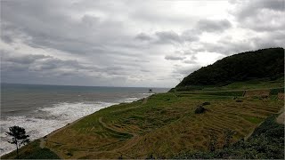 おかんと二人旅　Part123　白米千枚田