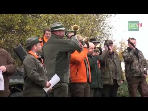 DJZ-TV: Large DJZ driven hunt in Bad Camberg 2012