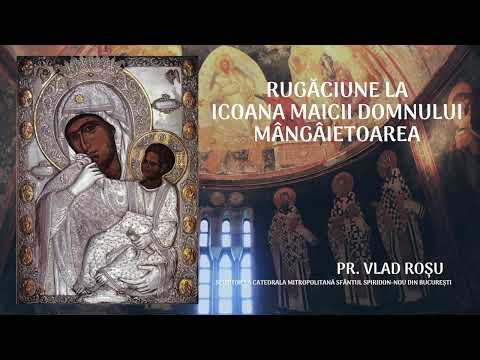 Rugăciunea la icoana MAICII DOMNULUI MÂNGÂIETOAREA de la Mănăstirea Vatoped - Vlad Roșu